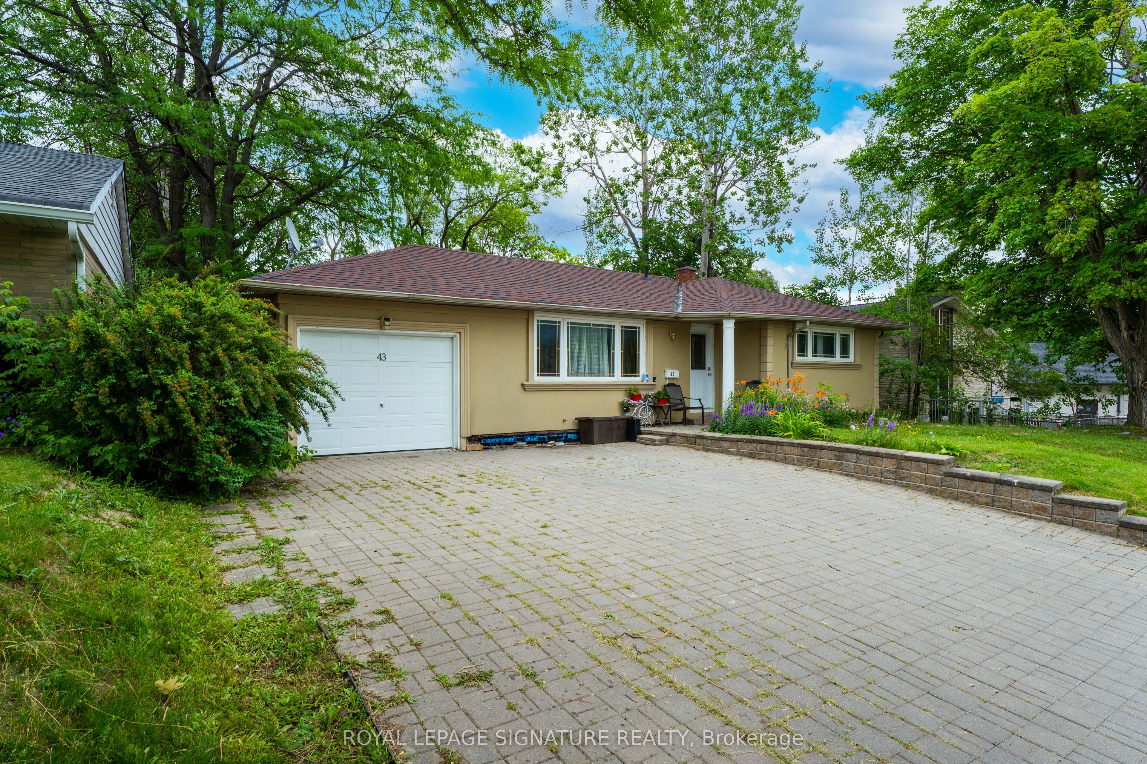 Unit Basement - 43 Parkside Drive, Newmarket 1