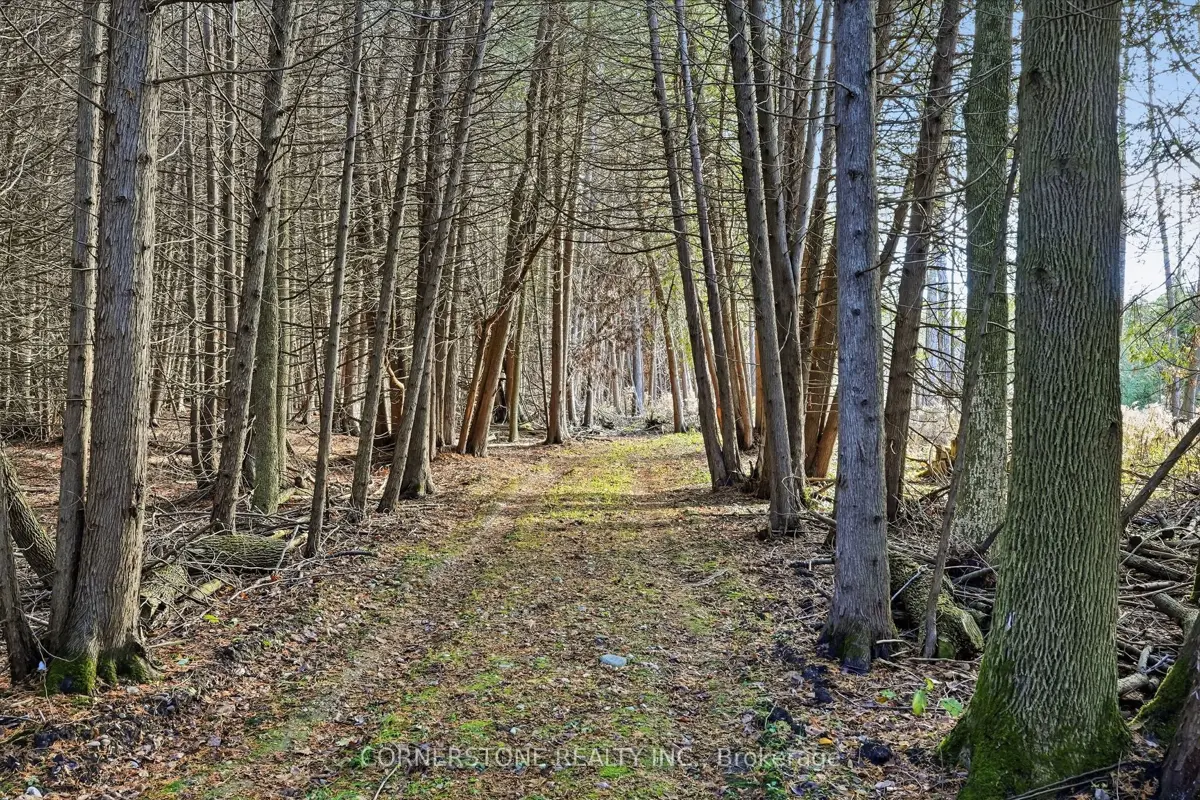 86315 Kingsbridge Line, Ashfield-Colborne-Wawanosh, Ontario Listing ...